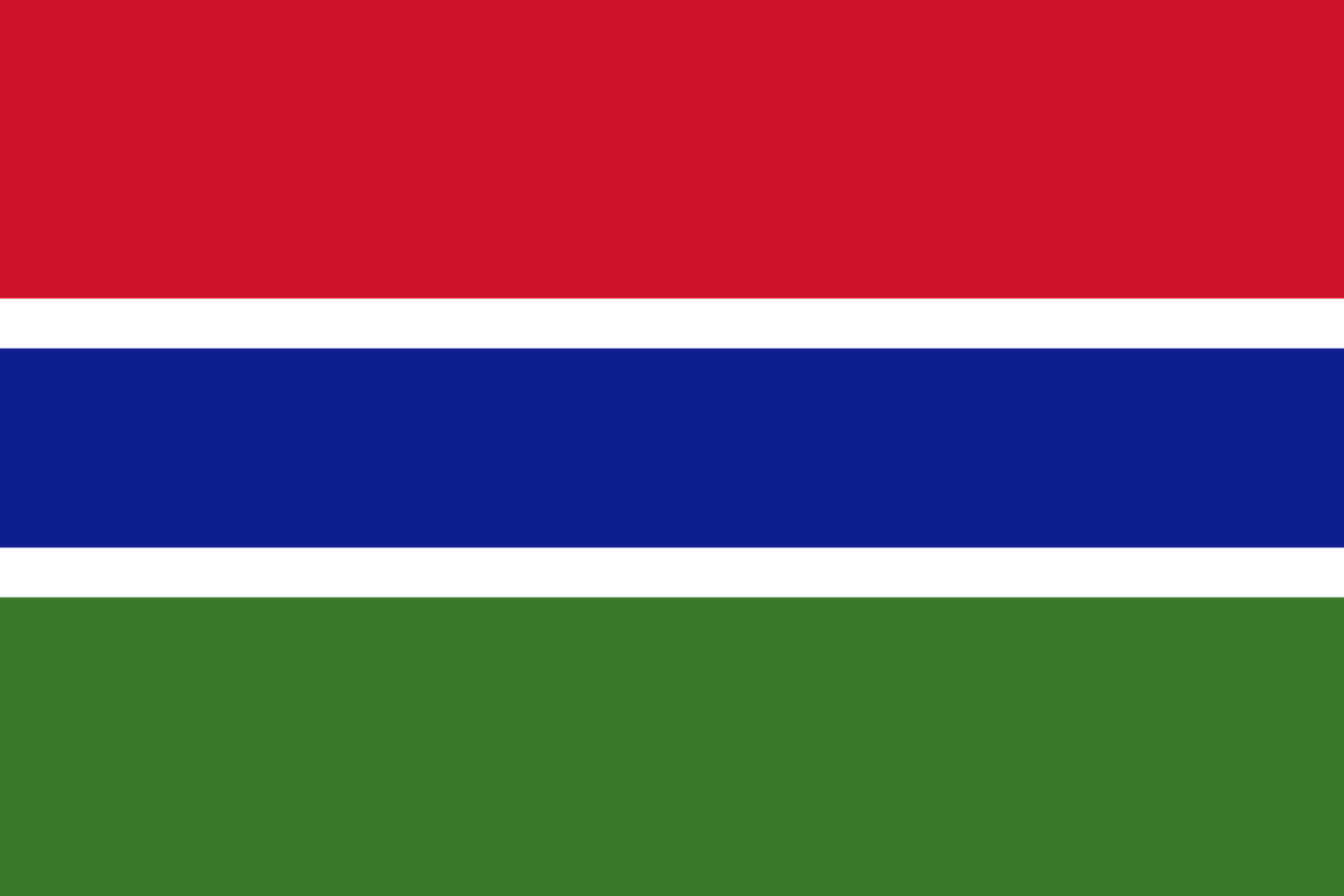 Gambia – Electronic Cargo Tracking Note (Gambia-CTN / ACD / ENS)
